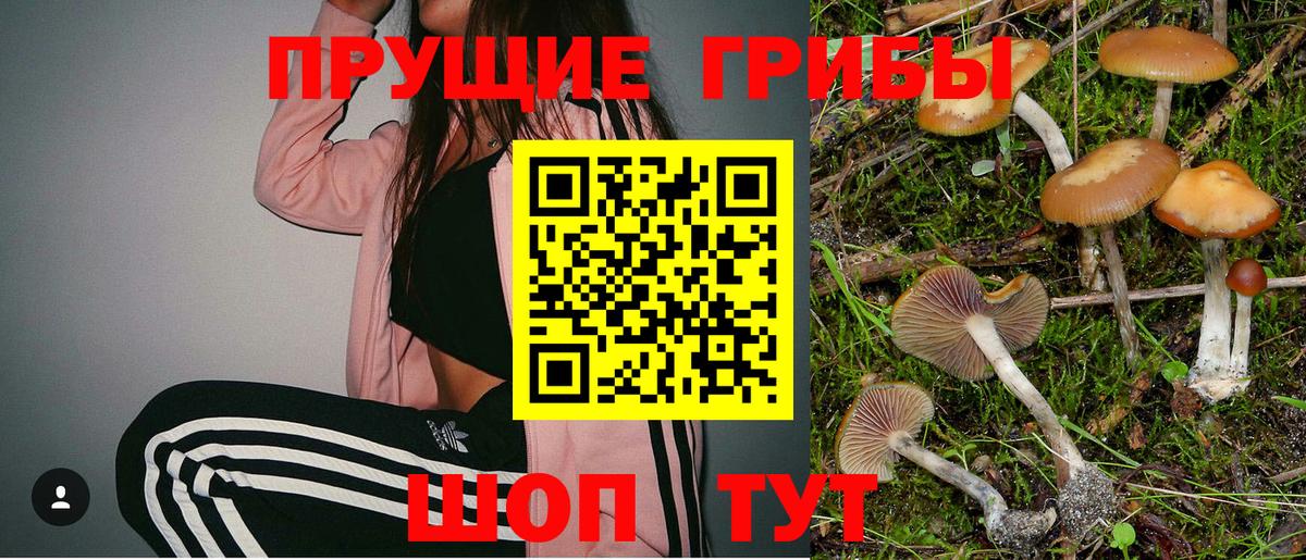 Шатура  Галлюциногенные грибы Cubensis  Галлюциногенные грибы мухоморы  Вход с VPN 