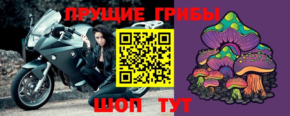 Псилоцибиновые грибы прущие грибы Шатура